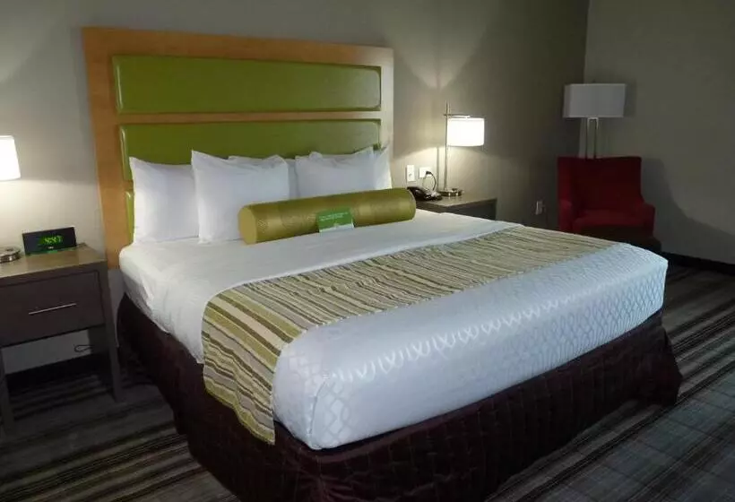 身障者適用キングサイズベッドルーム, La Quinta By Wyndham Paducah