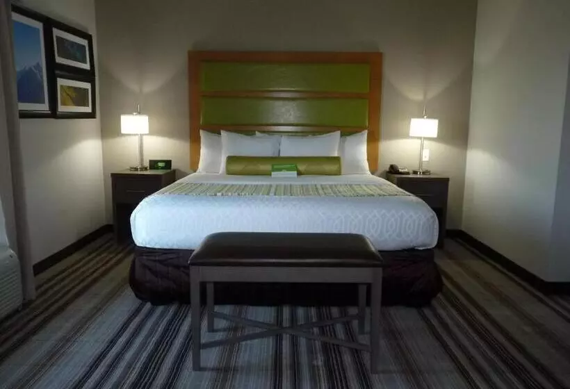 身障者適用キングサイズベッドルーム, La Quinta By Wyndham Paducah
