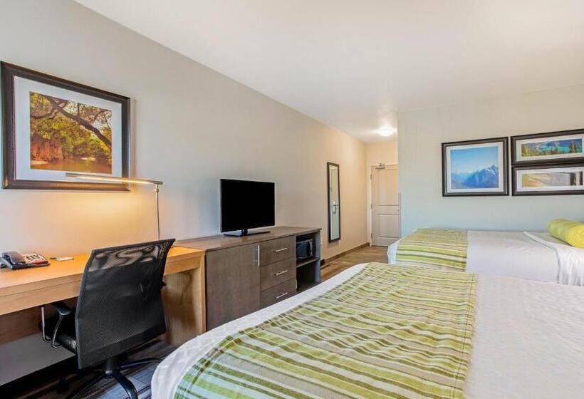 Номер Стандарт, La Quinta By Wyndham Paducah