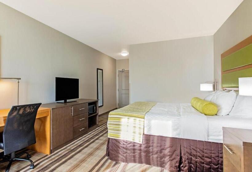 Стандартный Номер Кровать Кинг, La Quinta By Wyndham Paducah