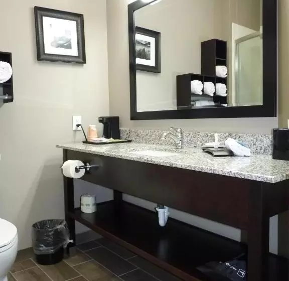 キングサイズベッドのエクゼクティブルーム, La Quinta By Wyndham Paducah