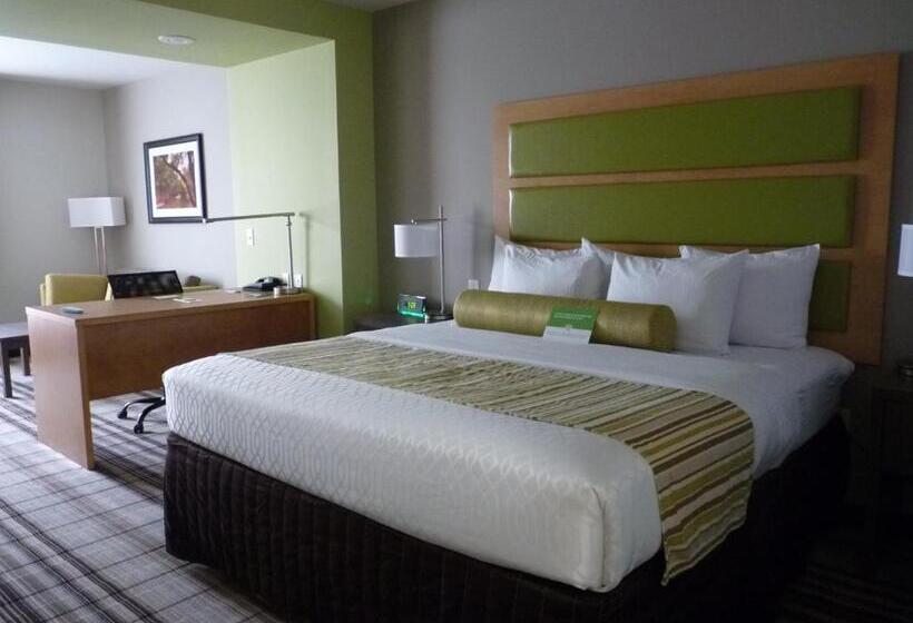 Номер Стандарт Кровать Кинг Адаптированный для Инвалидов, La Quinta By Wyndham Paducah