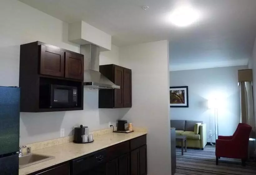 身障者適用スイートルーム, La Quinta By Wyndham Paducah