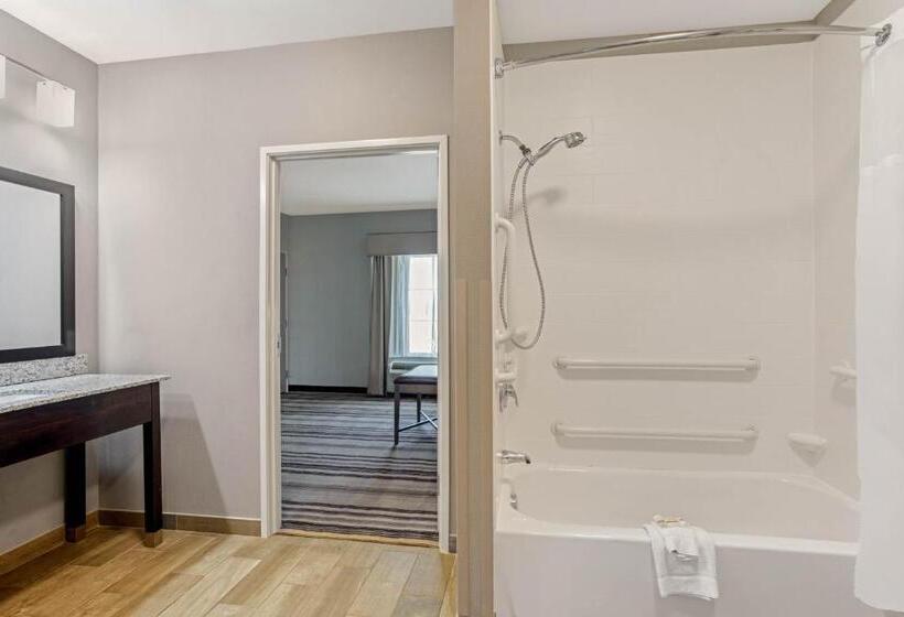 Люкс Адаптированный для Инвалидов, La Quinta By Wyndham Paducah