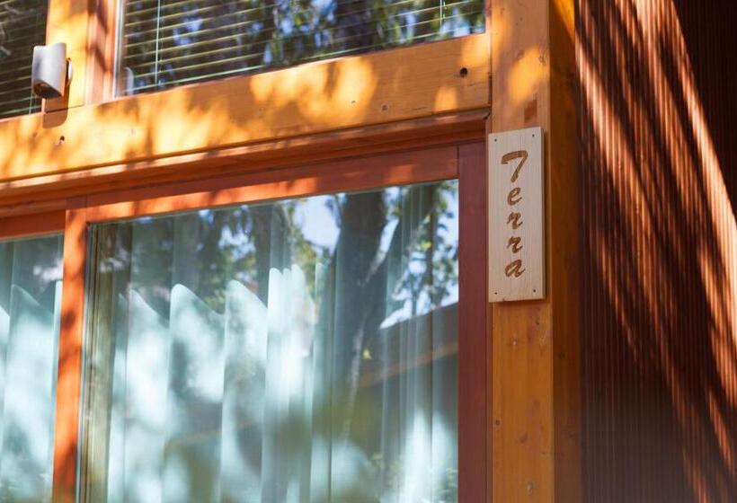 标准平房, Rinoterra Minho