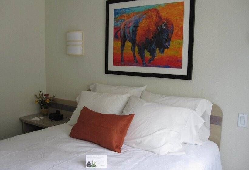 غرفة قياسية, Buffalo Inn