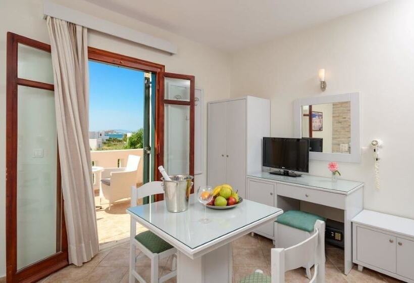 חדר סטודיו סטנדרד, Plaka Hotel I