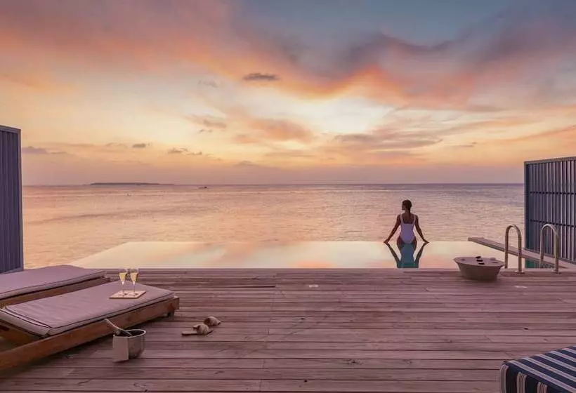 ویلای یک اتاق خوابه با استخر شنا, Amilla Maldives