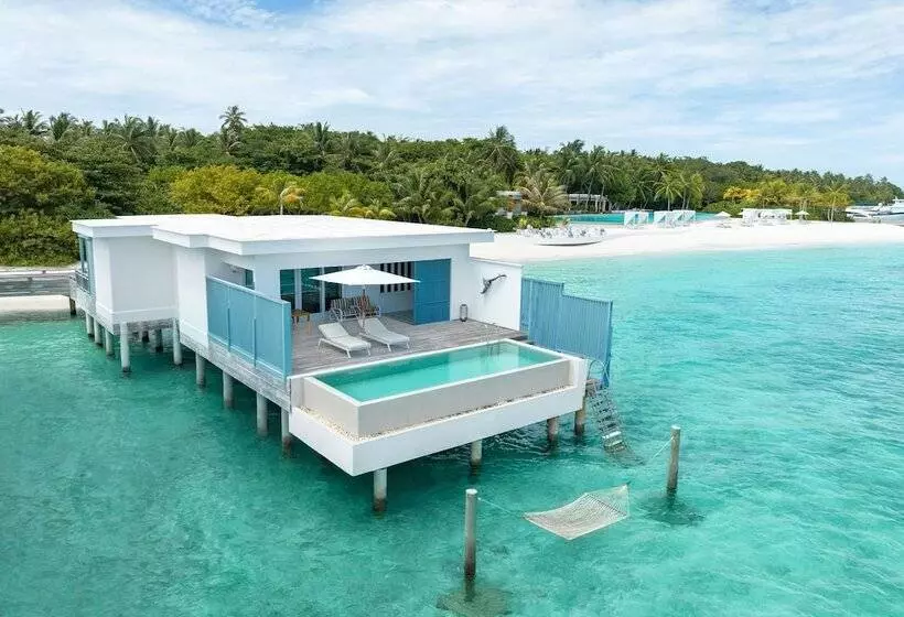 ویلای یک اتاق خوابه با استخر شنا, Amilla Maldives