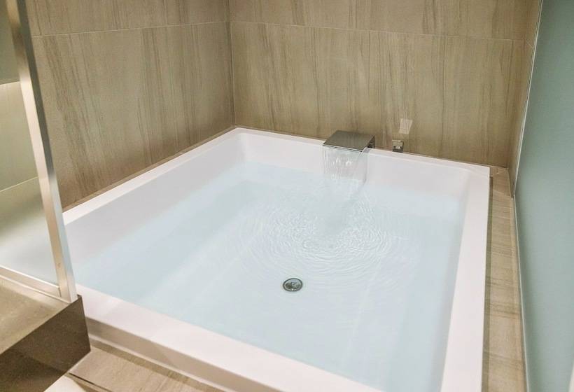 اتاق لوکس, Foret The Spa