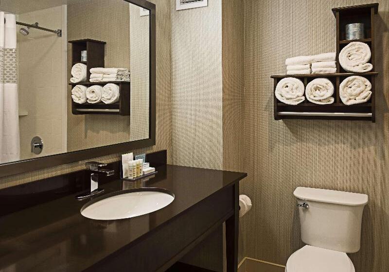 キングサイズベッドのスタンダードルーム, Hampton Inn By Hilton Ottawa Airport, On, Cn