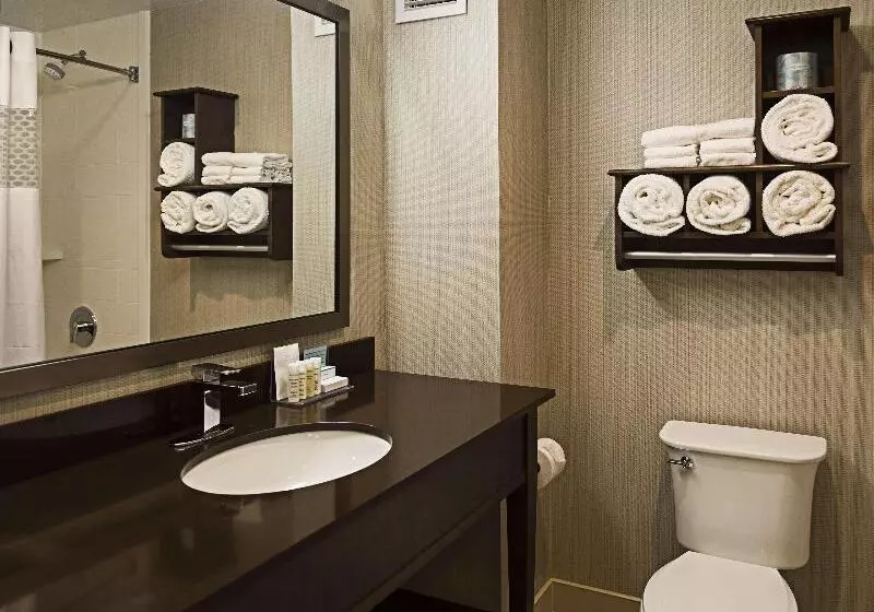 اتاق استاندارد با تخت بزرگ, Hampton Inn By Hilton Ottawa Airport, On, Cn