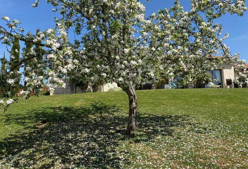 اتاق پریمیوم سه تخته, Le Mas De Castel  Piscine Chauffee