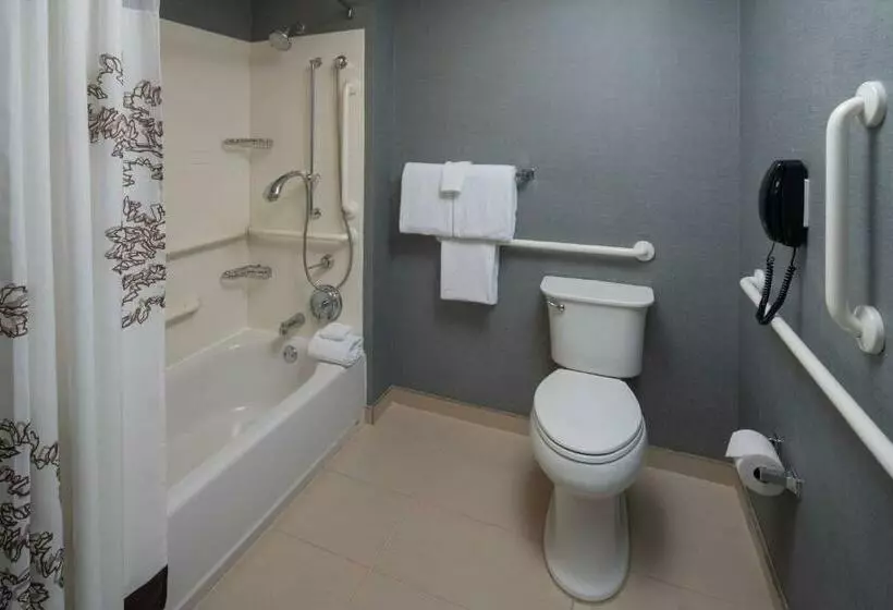 Standard-studio King-vuode, Residence Inn By Marriott Nashville Vanderbilt/west End