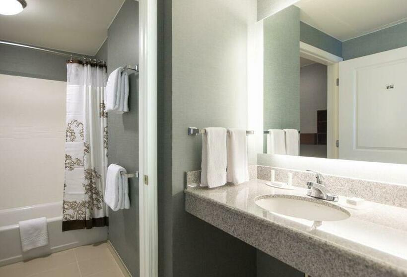 带大床的标准工作室, Residence Inn By Marriott Nashville Vanderbilt/west End