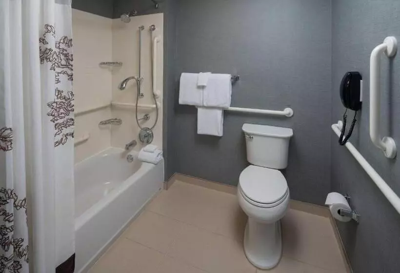 Sviitti King-vuode, Residence Inn By Marriott Nashville Vanderbilt/west End