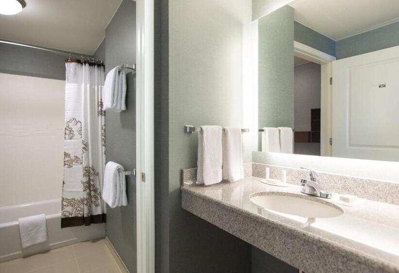 带2个卧室的套房, Residence Inn By Marriott Nashville Vanderbilt/west End