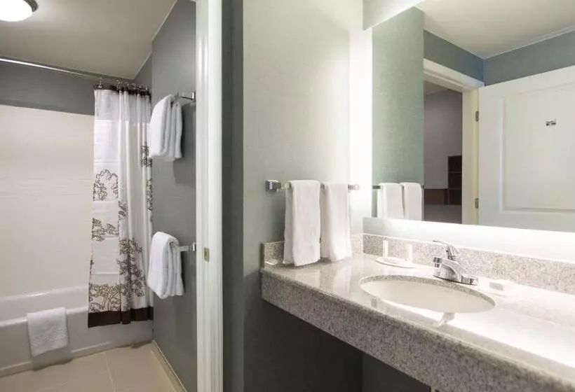 Sviitti 2 Makuuhuonetta, Residence Inn By Marriott Nashville Vanderbilt/west End