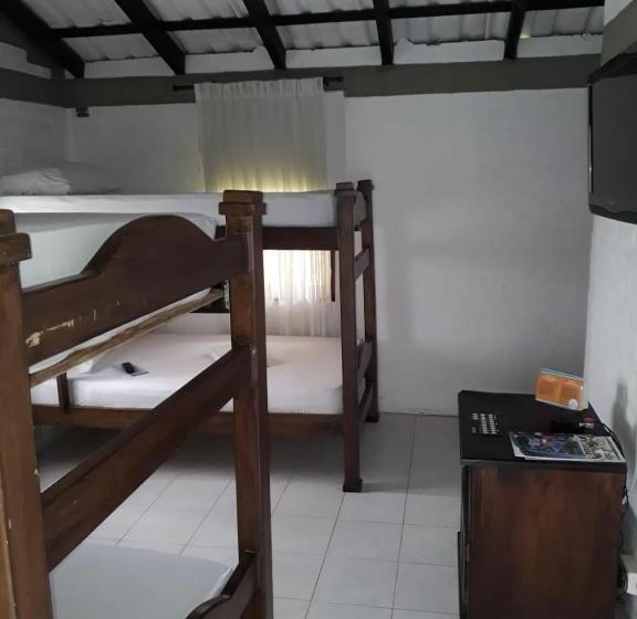 スタンダードバンガロー, San Antonio Del Cerro