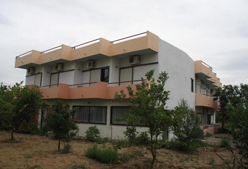 חדר סטנדרט לשלושה, Violetta