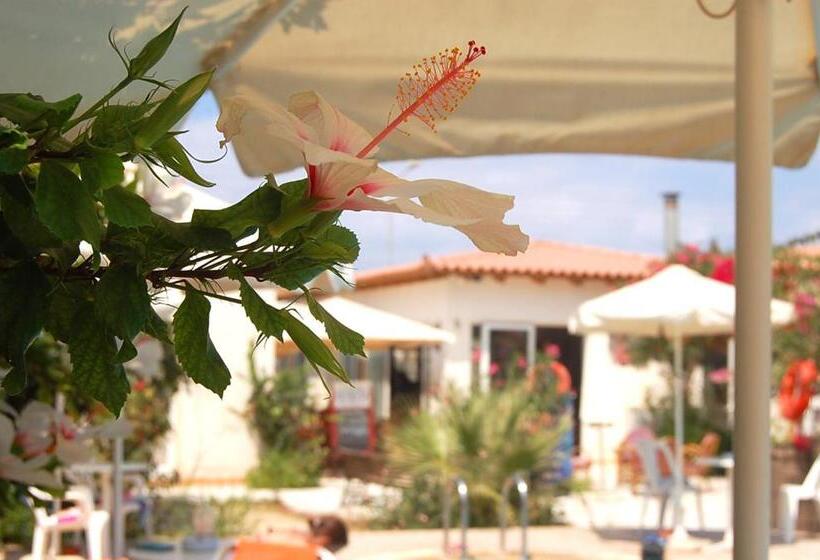 חדר סטנדרט עם מרפסת, Violetta