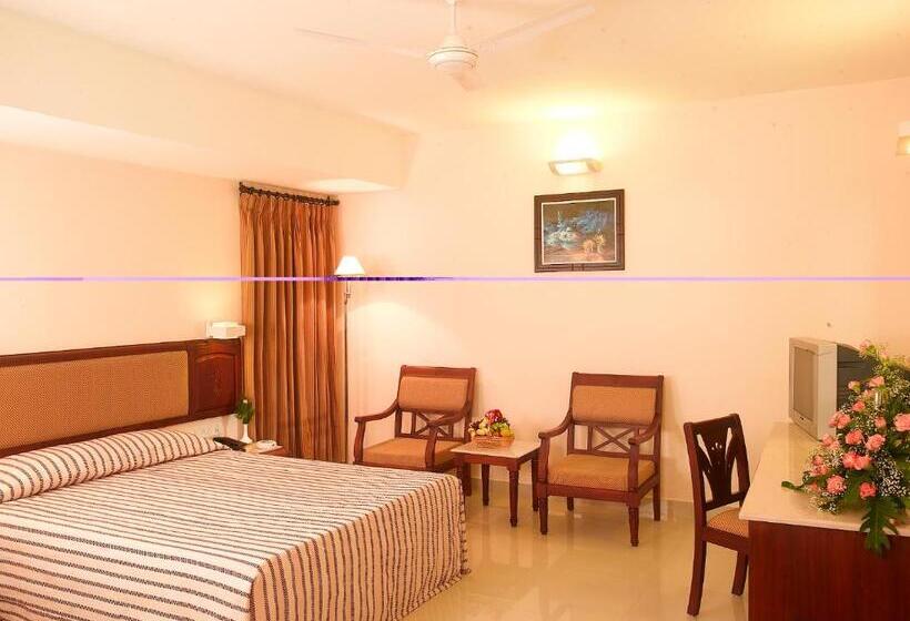 豪华房间, Arcadia