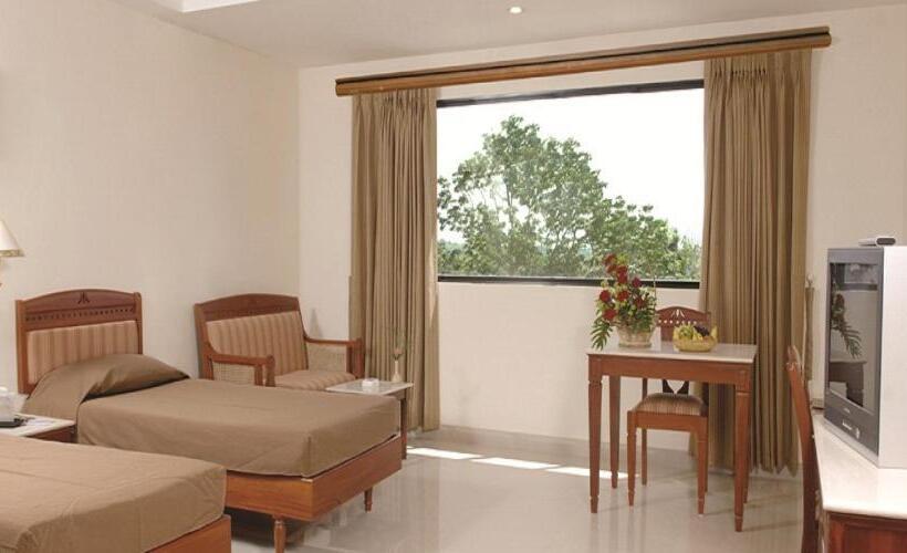 豪华房间, Arcadia