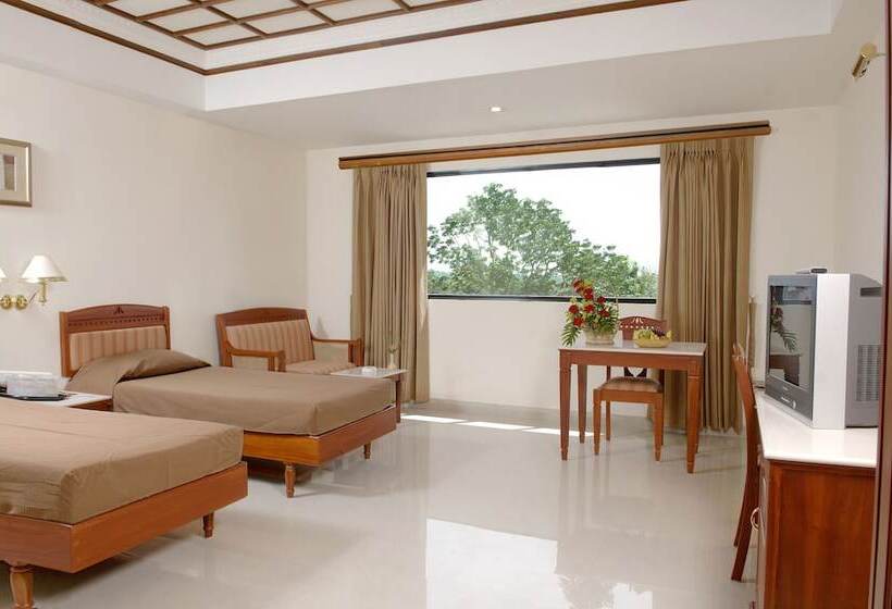 豪华房间, Arcadia