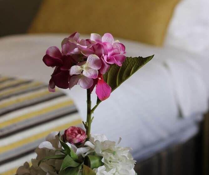 اتاق اجرایی, Ayla Bawadi