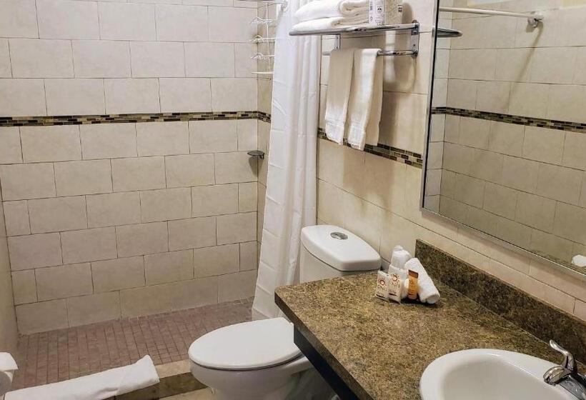 اتاق استاندارد با تخت بزرگ, Combate Beach Resort