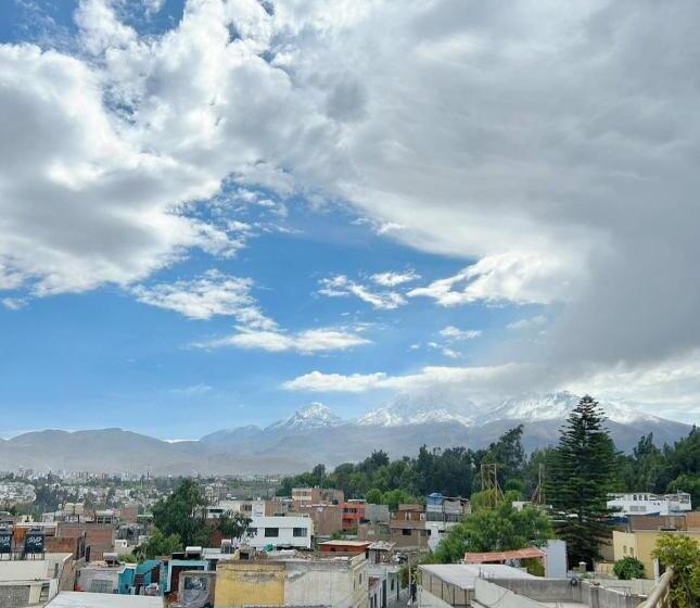 סוויטה, Fundador