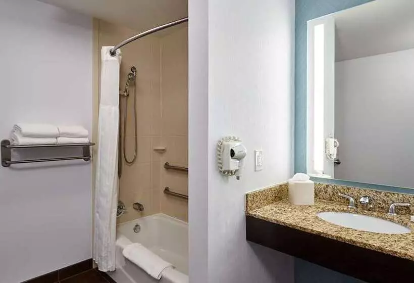 اتاق استاندارد با تخت بزرگ, Hilton London Bankside