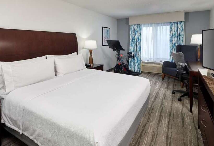 带大床的标准间, Hilton London Bankside