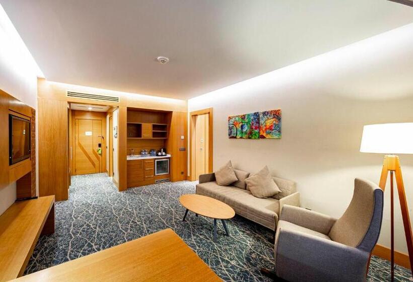 سوئیت با تخت بزرگ, Holiday Inn Baku, An Ihg