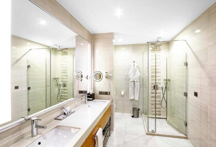سوئیت با تخت بزرگ, Holiday Inn Baku, An Ihg