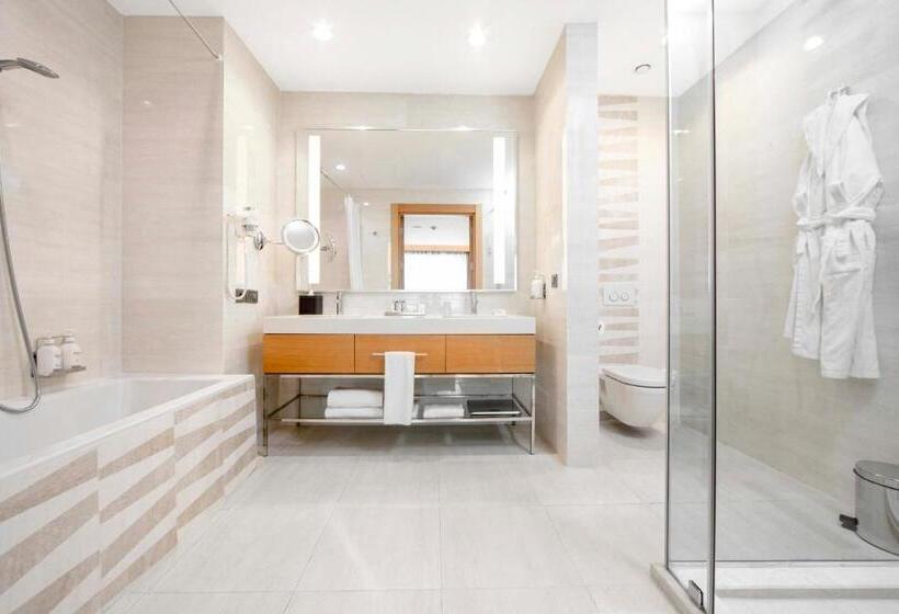 سوئیت با تخت بزرگ, Holiday Inn Baku, An Ihg