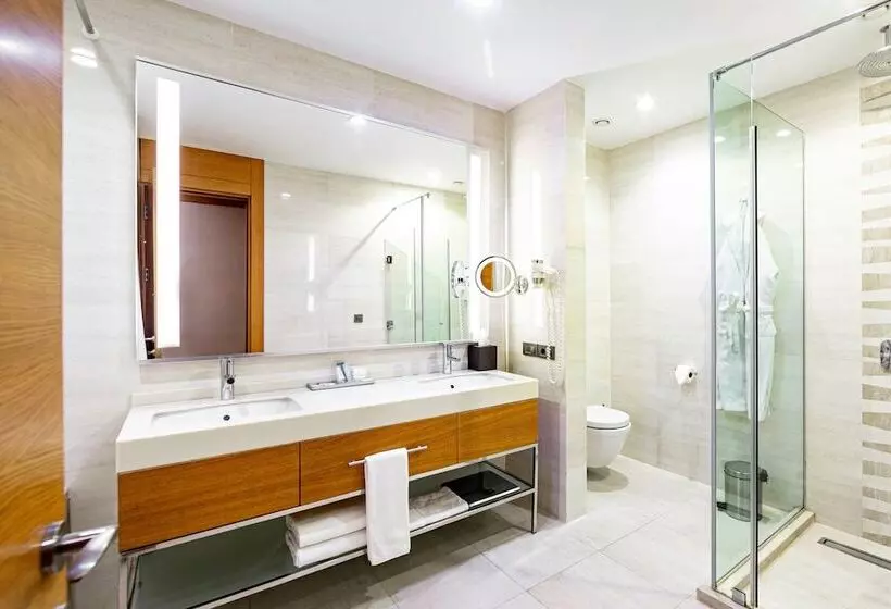 スタンダードルーム, Holiday Inn Baku By Ihg