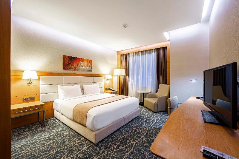 اتاق استاندارد با تخت بزرگ, Holiday Inn Baku, An Ihg