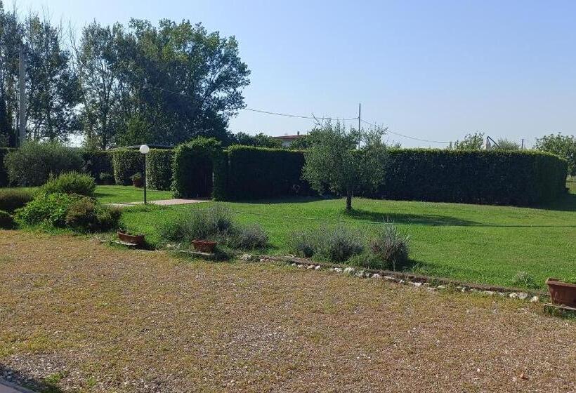 低层单卧公寓, Il Chiassetto Agriturismo No Kids