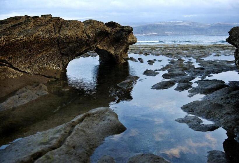 スタンダードルーム, Puerto Canteras