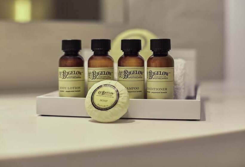 غرفة كلاسيكية, Pullman Paris Roissy Cdg Airport