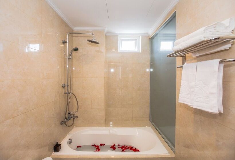 اتاق سوپریور با چشمانداز شهر, Tarasa