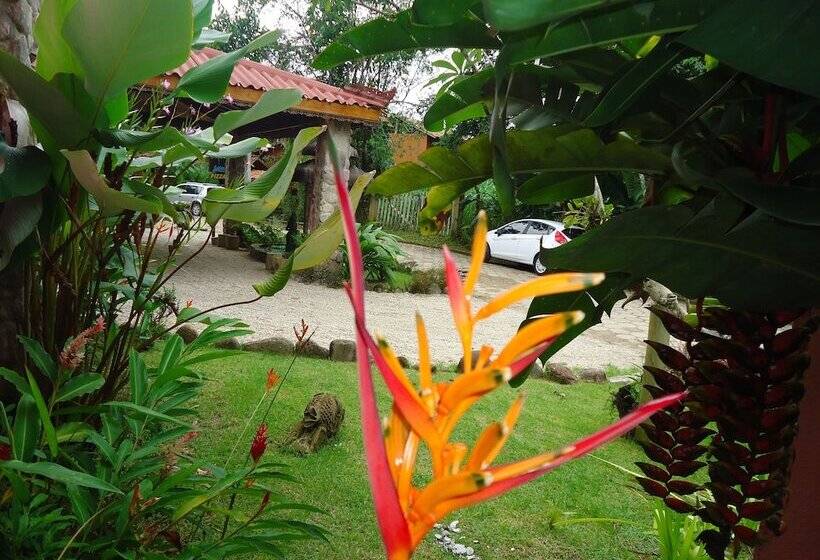 이코노미 트리플 룸, Velinn Pousada Bali Itamambuca