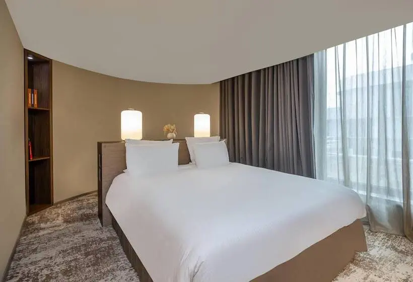 سوییت, Radisson Blu CDG Airport Terminal Hotel, Paris