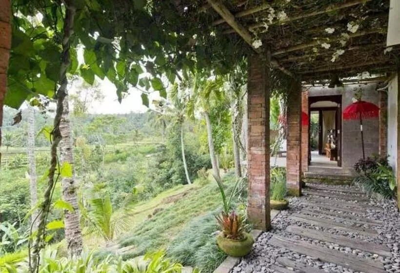 デラックスルーム, Adiwana Dara Ayu Villas