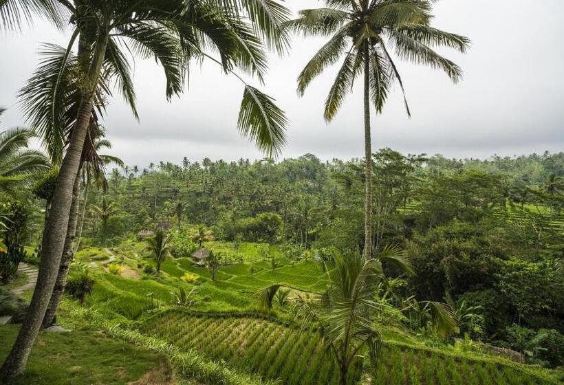 豪华房间, Adiwana Dara Ayu Villas