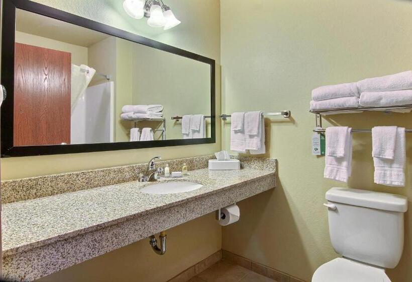 غرفة ديلوكس سرير كينج, Cobblestone Hotel & Suites   Beulah