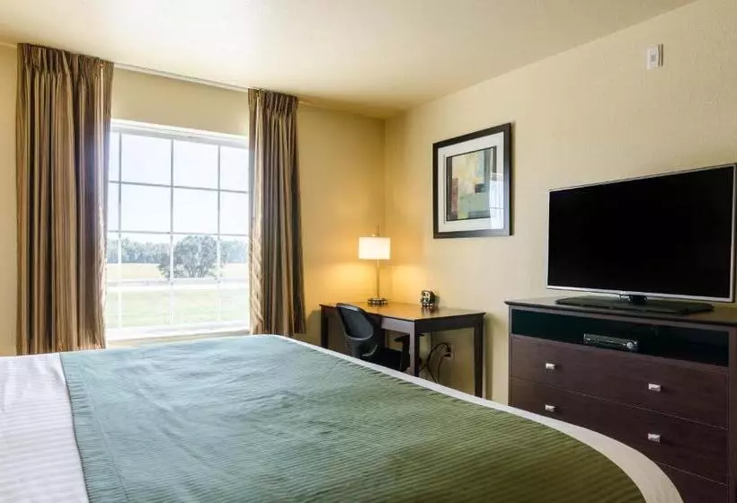 身障者適用キングサイズベッドルーム, Cobblestone Hotel & Suites Beulah