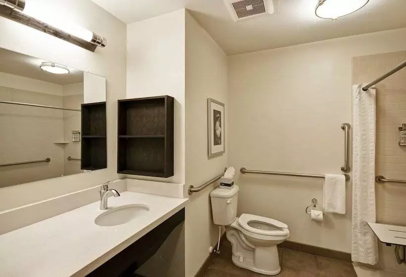 身障者適用スイートルーム, Candlewood Suites Smyrna   Nashville , An Ihg