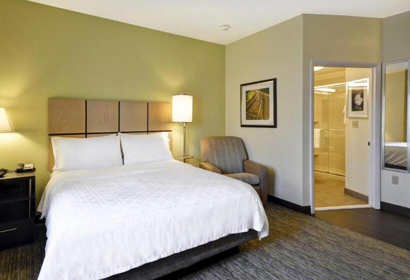 إستوديو قياسى, Candlewood Suites Smyrna   Nashville , An Ihg